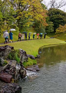 Umbrellas in Japan