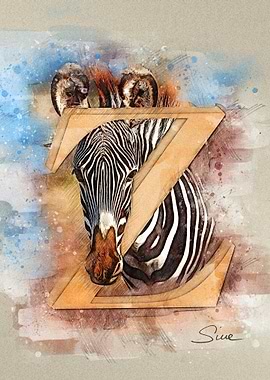 Z Zebra
