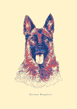 German Shepherd