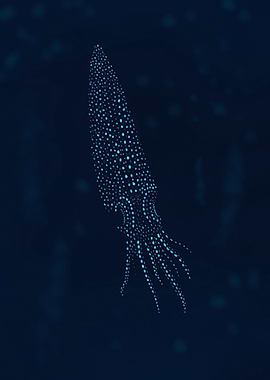 Firefly squid