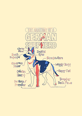 German Shepherd