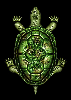 Turtle