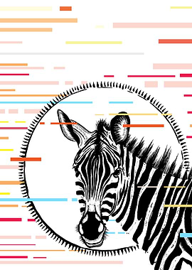 Zebra Glitch