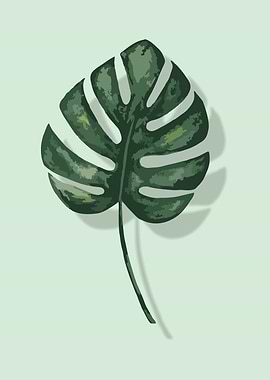 Monstera