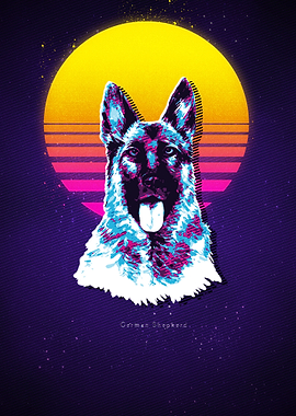 German Shepherd