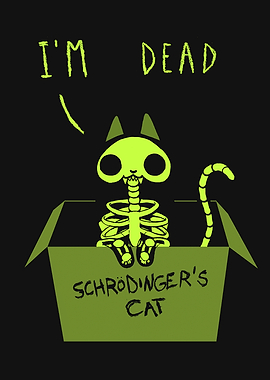 Schrodinger Cat Night
