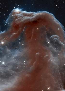 Horsehead