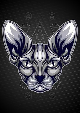 Sphynx cat classic