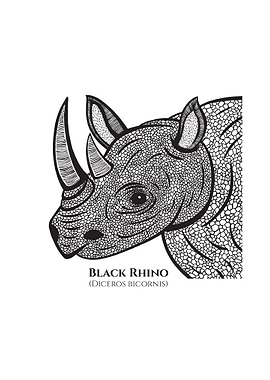 Black Rhino with Names