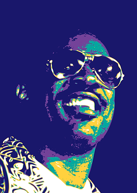 Stevie Wonder Pop Art 7