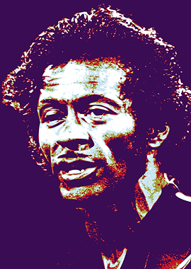Chuck Berry Pop Art 2