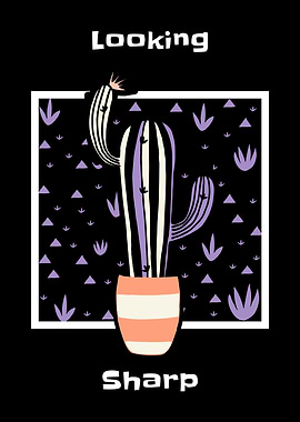 Looking Sharp Cactus Plant