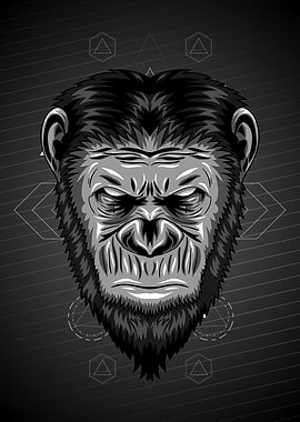 dark chimp