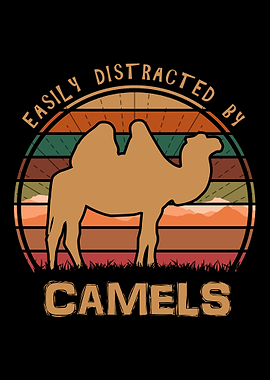 Distracted By Camels