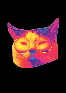 Trippy kitty