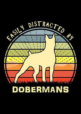 Distracted By Dobermans