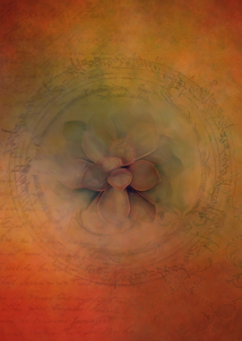 Succulents On Orange