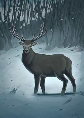 Winter Deer
