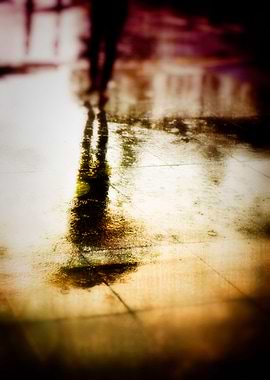 Rainy day reflections