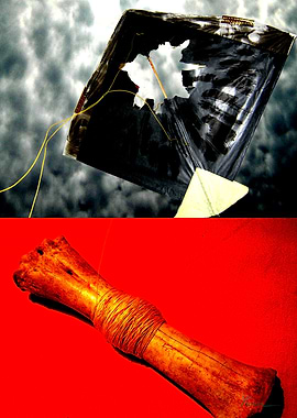 How fly with heart ripped