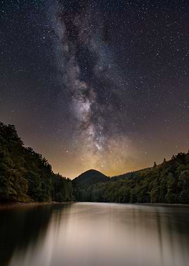Forest on Lake Starry Sky