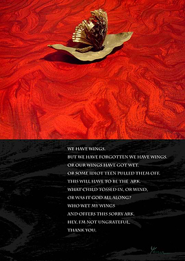 Ark for the Broken Winged