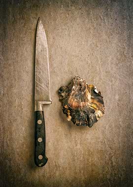 Oyster shell and knife