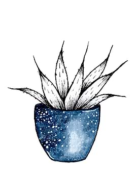 Universe Plant