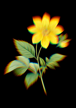 Prism Dahlia Simplex