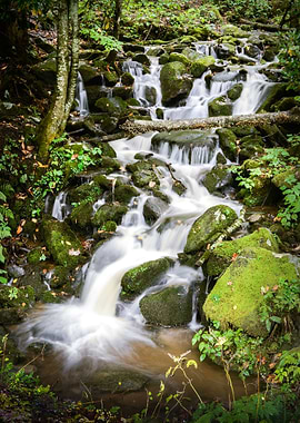 Mother Natures Cascades