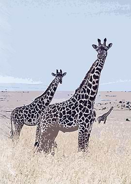 giraffe animal wildlife