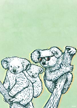 Rocking Koalas