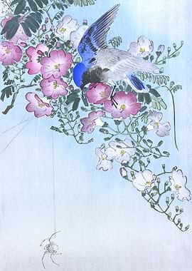 Blue Bird and Spider Print