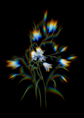 Prism Campanule Clochette