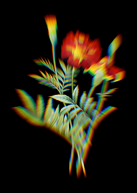 Prism Mexican Marigold