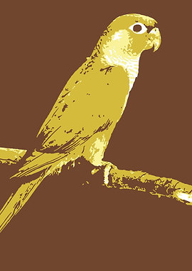 Parrots v4 Pop Art