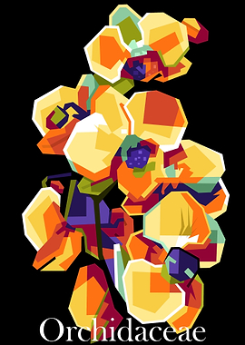 Orchid flower best