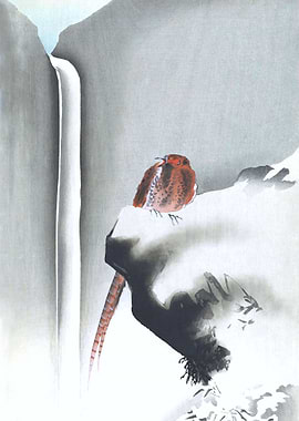 Pheasant Near Waterfall