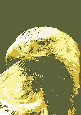 Eagle v14 Pop Art
