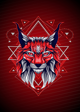 CARACAL CAT GEOMETRY