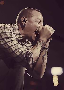 Linkin Park 166