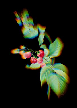 Prism Red Berries Flowers