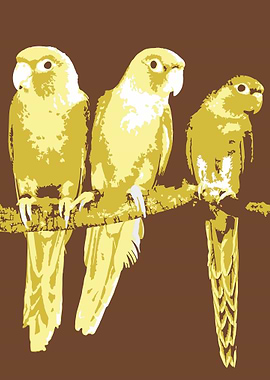 Parrots v3 Pop Art
