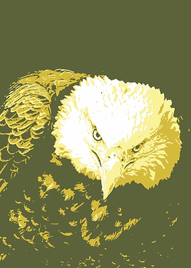 Eagle v13 Pop Art