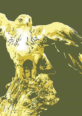Eagle v10 Pop Art