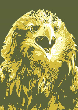 Eagle v15 Pop Art