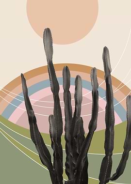 Cactus in the Desert 2