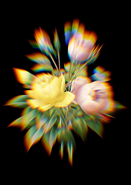 Prism Variety of Roses