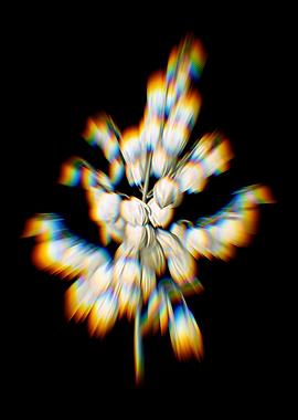 Prism Aloe Yucca Flowers