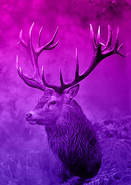 Colorful Deer Poster